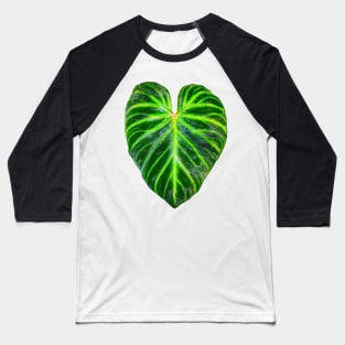 Philodendron verrucosum leaf - botanical illustration Baseball T-Shirt